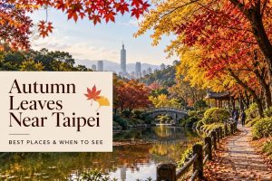 Autumn Leaves Near Taipei - Best Places & When to See