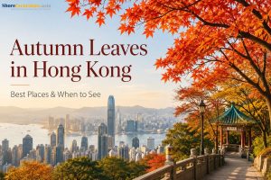 Autumn Leaves in Hong Kong - Best Places & When to See