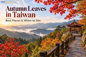 Autumn Leaves in Taiwan - Best Places & When to See