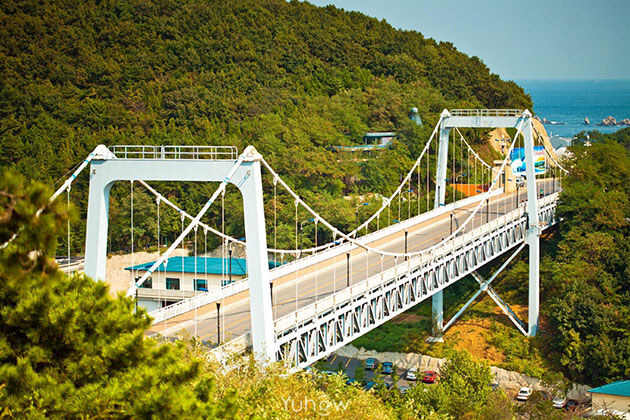 Beida Bridge Dalian tour from Cruise Port
