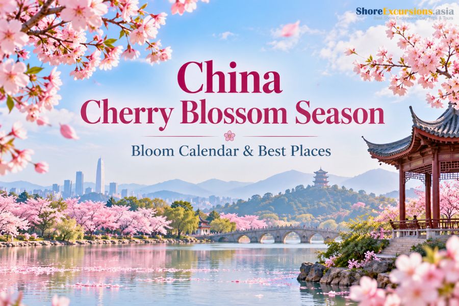 China Cherry Blossom Season - Bloom Calendar & Best Places
