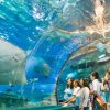 Dalian Shore Excursions