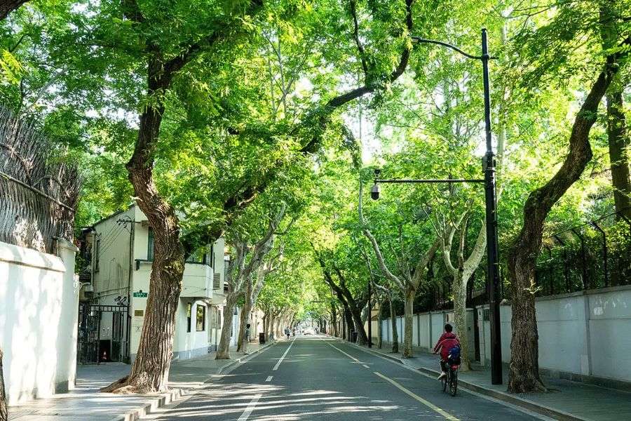 Former French Concession in Shanghai