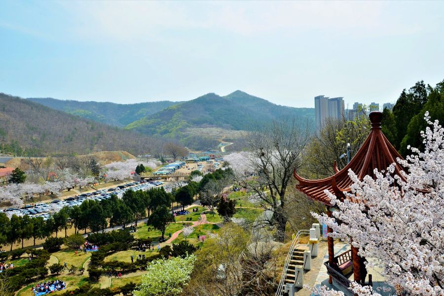 Longwangtang Cherry Blossom Park overview