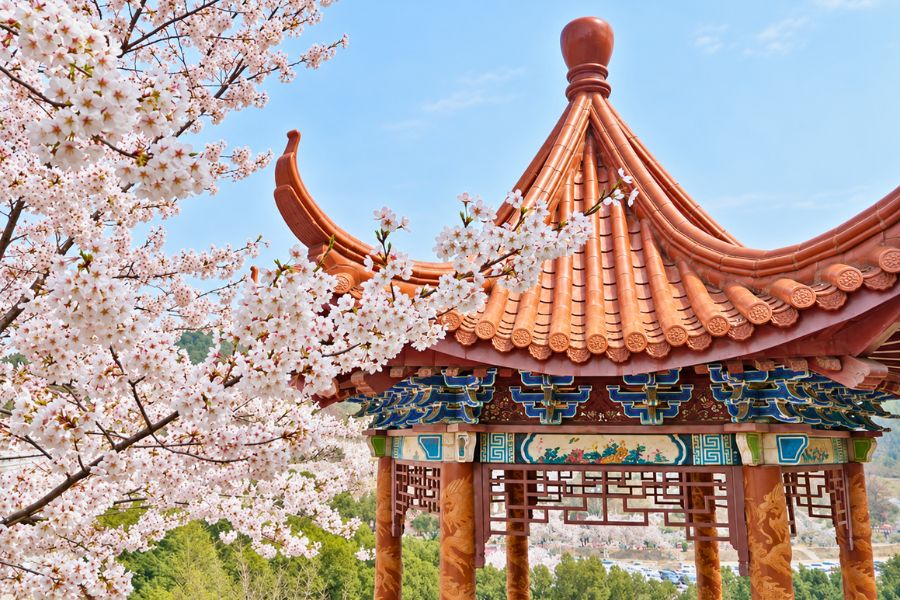Longwangtang Cherry Blossom Park pavilion