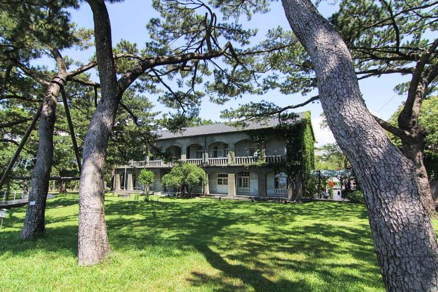 Pine Garden in Hualien